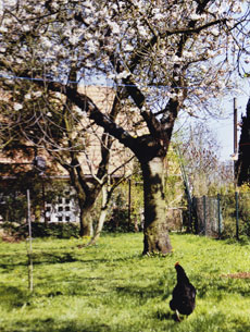 Ferienhaus Seeblick 2 in Kägsdorf an der Ostsee