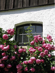 Ferienhaus Seeblick 2 in Kägsdorf an der Ostsee