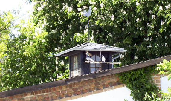 Ferienhaus Seeblick Kägsdorf an der Ostsee – Impressionen