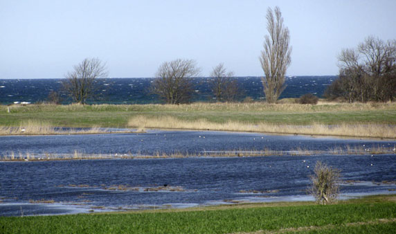 Ferienhaus Seeblick Kägsdorf an der Ostsee – Impressionen