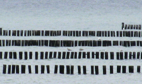 Ferienhaus Seeblick Kägsdorf an der Ostsee – Impressionen