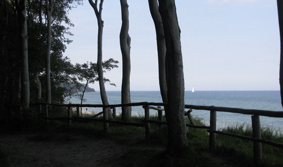 Ferienhaus Seeblick Kägsdorf an der Ostsee – Umgebung und Freizeit