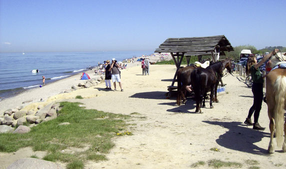 Ferienhaus Seeblick Kägsdorf an der Ostsee – Umgebung und Freizeit