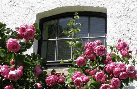 Ferienhaus Seeblick Kägsdorf an der Ostsee – das Anwesen