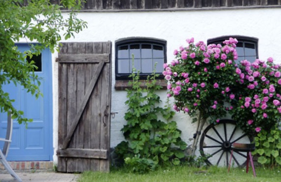 Ferienhaus Seeblick Kägsdorf an der Ostsee – das Anwesen