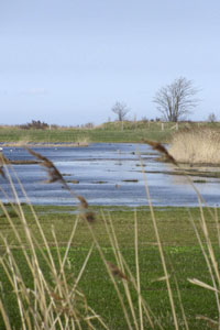 Ferienhaus Seeblick 2 in Kägsdorf an der Ostsee